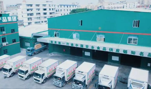 超市驚現(xiàn)老鼠啃食肉糜事件警示 企業(yè)食品安全管理與室內環(huán)境治理的雙重防線